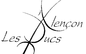 Tournois international des Duc d'Alençon