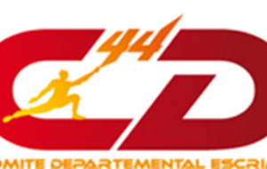 CD 44 à St-Nazaire